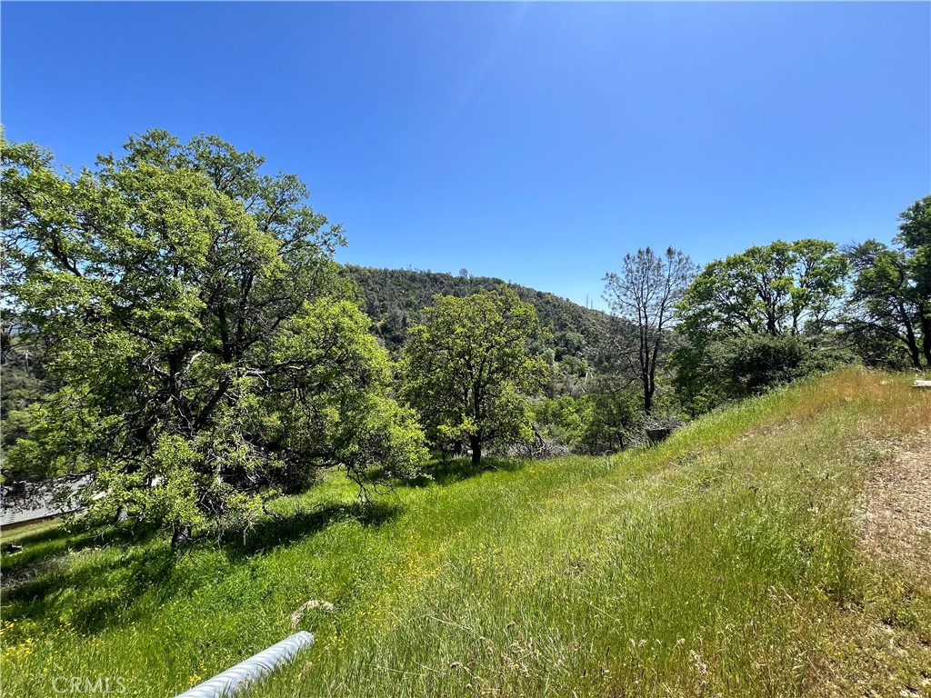MLS #MP24086965 image #5