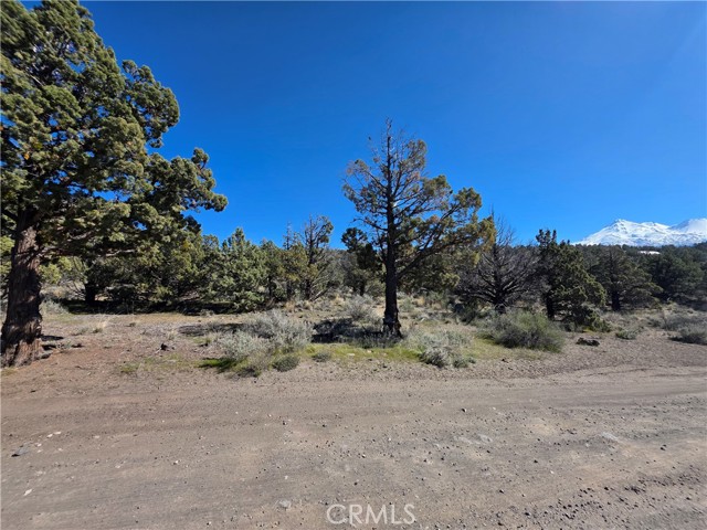 Detail Gallery Image 10 of 21 For 3 Blk 67 Lot 3 Martin Dr., Montague,  CA 96064 - – Beds | – Baths