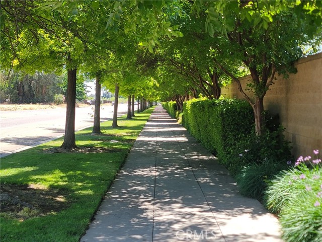 1697 Whiteash Avenue, Clovis CA: https://media.crmls.org/medias/fbdabb8c-5639-4645-a188-b165df8fdcf2.jpg