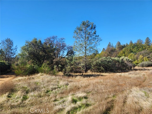 Detail Gallery Image 5 of 32 For 14444 Labadie, Dobbins,  CA 95935 - – Beds | – Baths