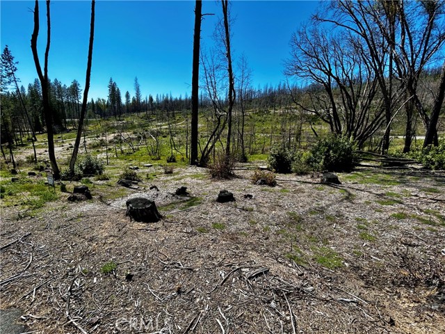 12 Azalea Lane, Berry Creek, California 95916, ,Land,For Sale,12 Azalea Lane,CRSN23072179