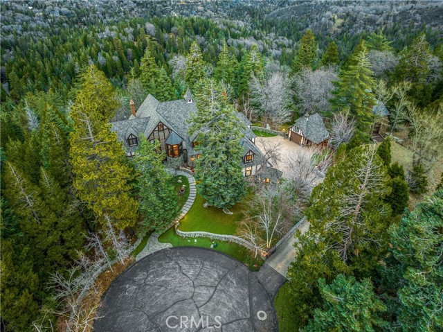 29162 Bald Eagle Ridge, Lake Arrowhead CA: https://media.crmls.org/medias/fbde198c-b675-4973-80d4-3fb5273f4b80.jpg