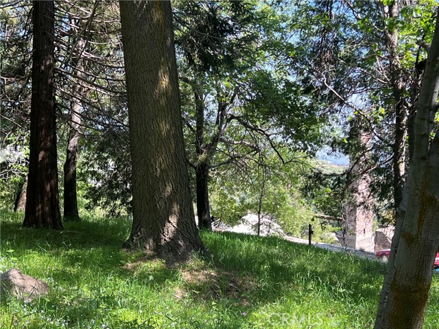 28879 Sycamore Drive, Lake Arrowhead CA: https://media.crmls.org/medias/fbde92e9-4b08-4836-8d6b-37e22898862f.jpg