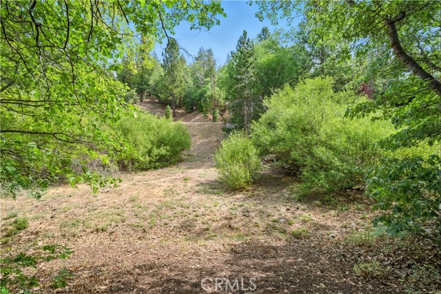 Detail Gallery Image 27 of 45 For 43344 Deer Canyon Rd, Big Bear Lake,  CA 92315 - 3 Beds | 1 Baths