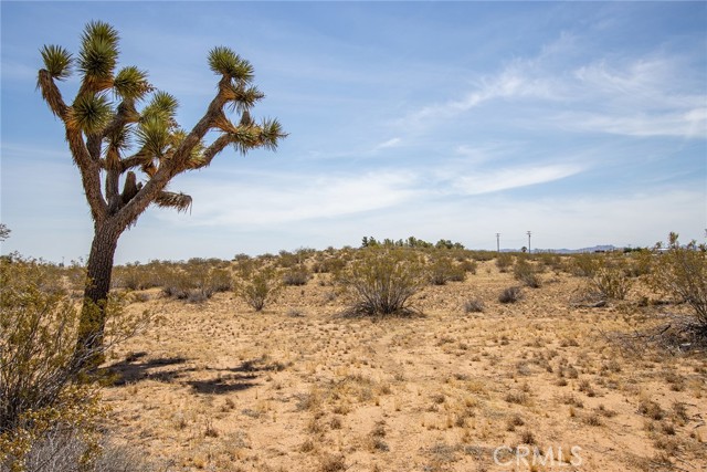 Detail Gallery Image 2 of 19 For 4444 Saddleback Dr, Joshua Tree,  CA 92252 - – Beds | – Baths