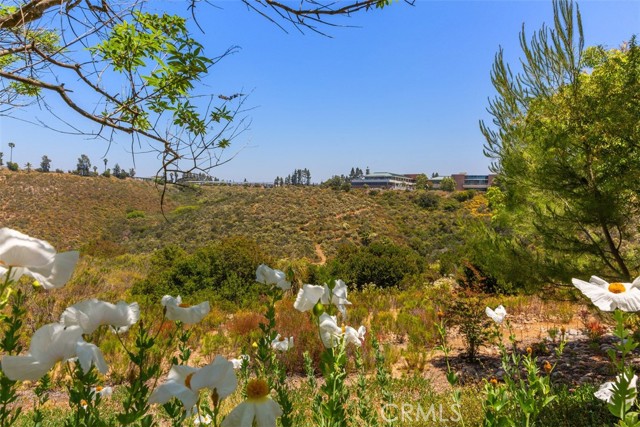 7641 Rainswept Lane, San Diego, California 92119, 3 Bedrooms Bedrooms, ,3 BathroomsBathrooms,Residential,For Sale,Rainswept Lane,ND24116259