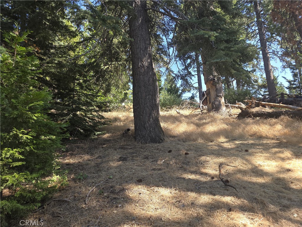 MLS #IV25164283 image #32