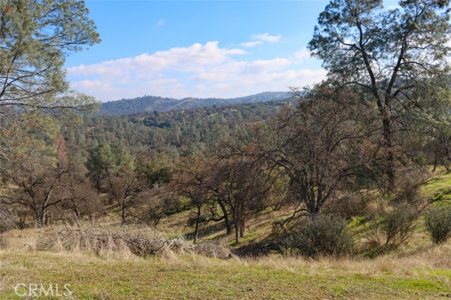 Detail Gallery Image 36 of 47 For 40461 Long Hollow Dr, Coarsegold,  CA 93614 - 3 Beds | 2 Baths