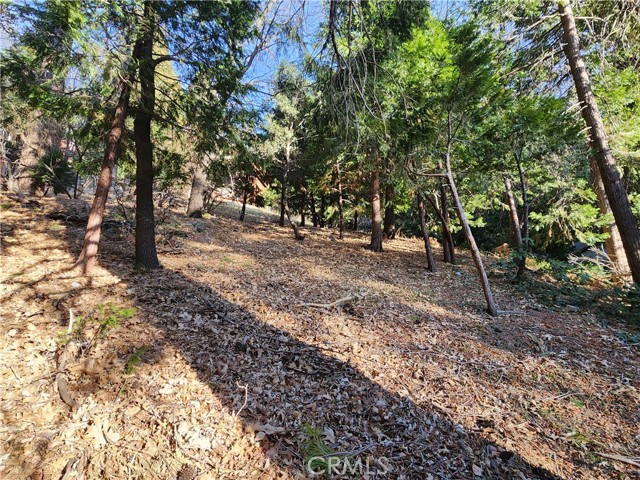 0 Basel Drive, Crestline CA: https://media.crmls.org/medias/fc0b84eb-4ae0-4e48-b799-44f34c39d635.jpg
