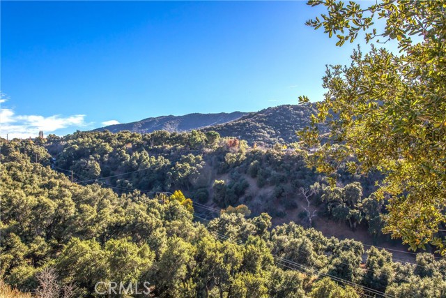 Detail Gallery Image 59 of 62 For 37095 Oak View Rd, Yucaipa,  CA 92399 - 4 Beds | 2/2 Baths