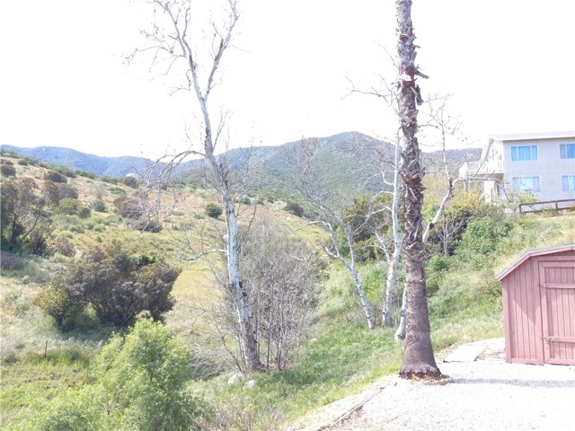 The back yard has no neighbors behind you.  Also there is a nice storage shed on the property.