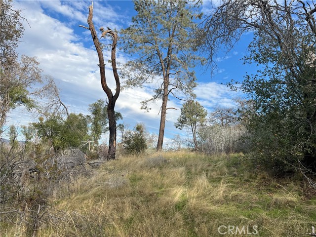 Detail Gallery Image 13 of 69 For 4934 Guadalupe Fire, Catheys Valley,  CA 95306 - – Beds | – Baths