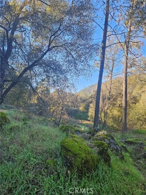 Detail Gallery Image 24 of 49 For 50814 Road 200, O Neals,  CA 93645 - 3 Beds | 3 Baths