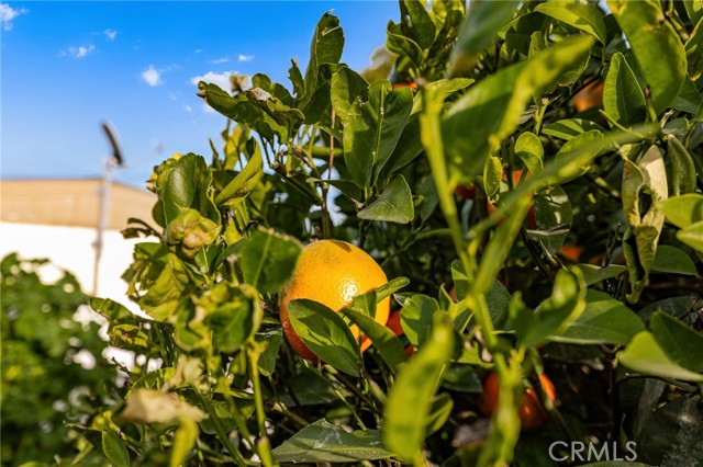 Detail Gallery Image 24 of 39 For 13381 Magnolia #35,  Corona,  CA 92879 - 2 Beds | 2 Baths