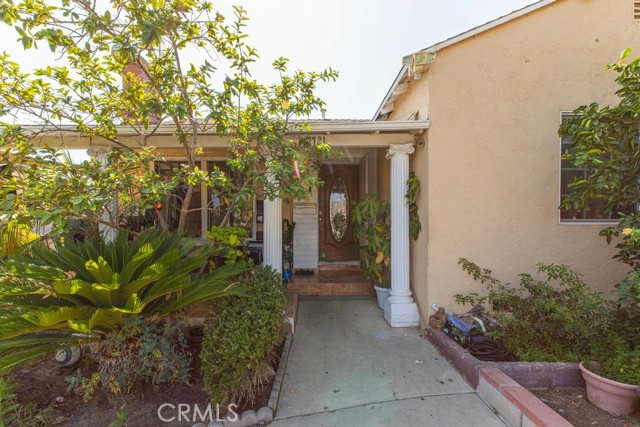 Front Image Thumbnail for CRBB26177432