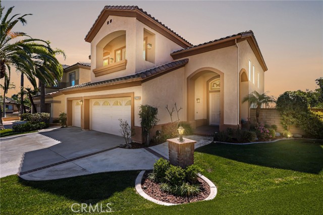 Front Image Thumbnail for CROC26038853