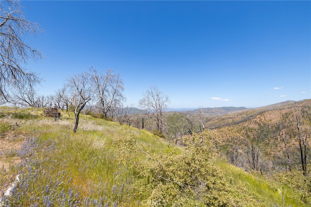 MLS #MP25088475 image #62
