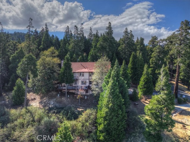 729 Minty Pine Drive, Cedarpines Park, CA 92322