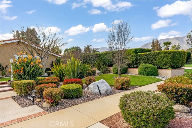Detail Gallery Image 46 of 67 For 2205 N Palm Way, Upland,  CA 91784 - 4 Beds | 2/1 Baths