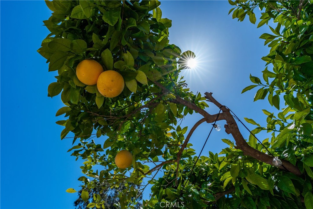 https://media.crmls.org/medias/fc4d0e5e-8b19-4bab-b516-38a2384d01bc.jpg?preset=X-Large