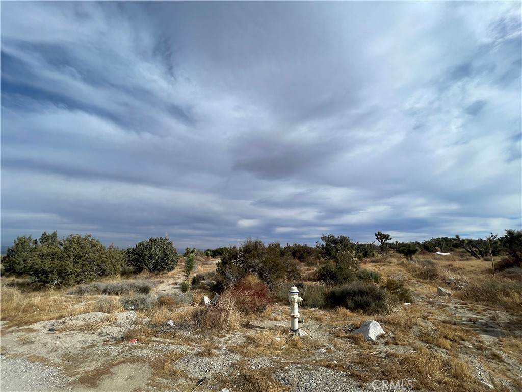 MLS #PW25003493 image #26