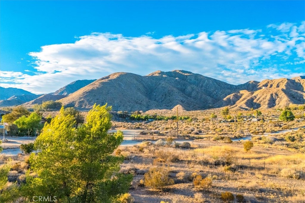 MLS #JT25260931 image #33