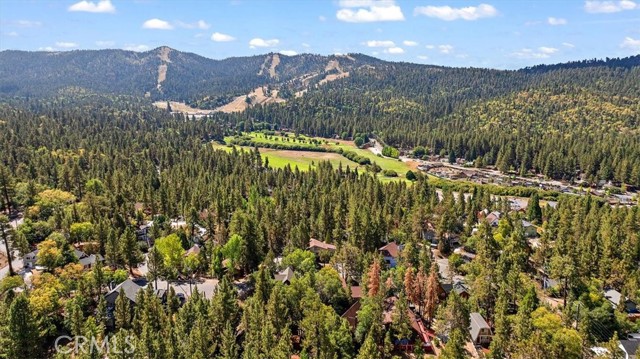 Detail Gallery Image 22 of 23 For 1160 W Alta Vista, Big Bear City,  CA 92314 - 2 Beds | 1 Baths