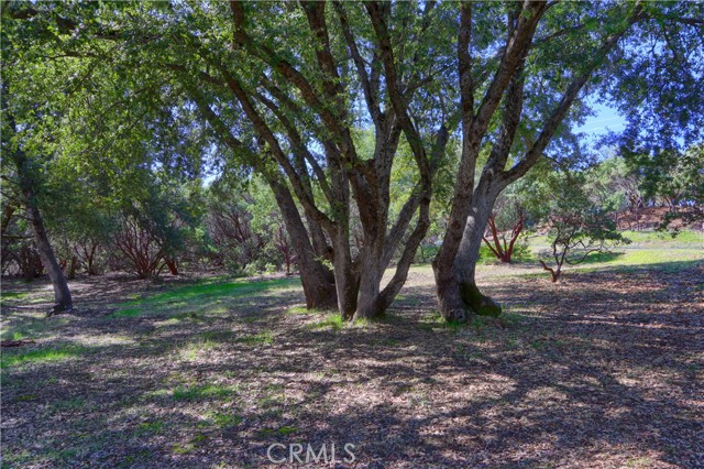 Detail Gallery Image 48 of 57 For 5840 Evergreen, Mariposa,  CA 95338 - 3 Beds | 2 Baths