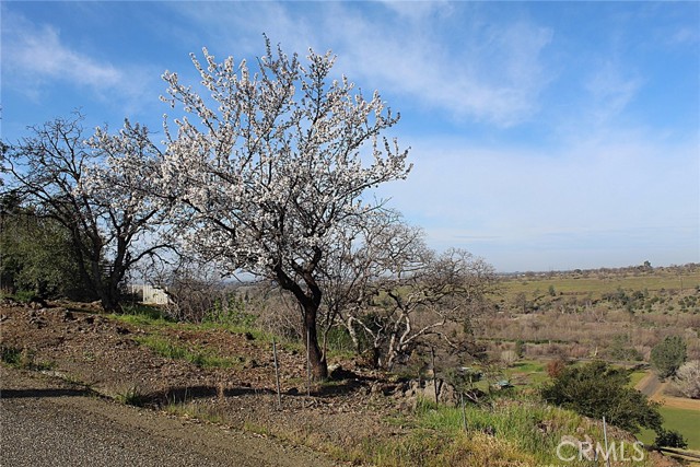 Detail Gallery Image 3 of 15 For 0 Rim Rock, Chico,  CA 95928 - – Beds | – Baths