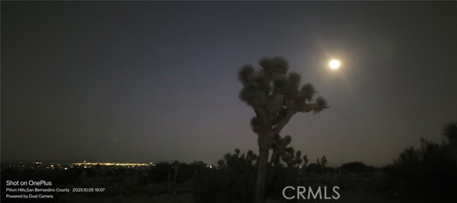 Detail Gallery Image 20 of 21 For 30837 235th, Llano,  CA 93544 - 1 Beds | 1 Baths