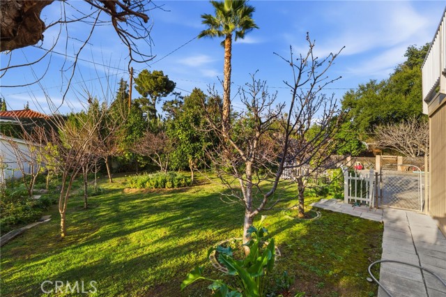 Detail Gallery Image 49 of 56 For 1200 Cedar Ave, Redlands,  CA 92373 - 5 Beds | 3 Baths