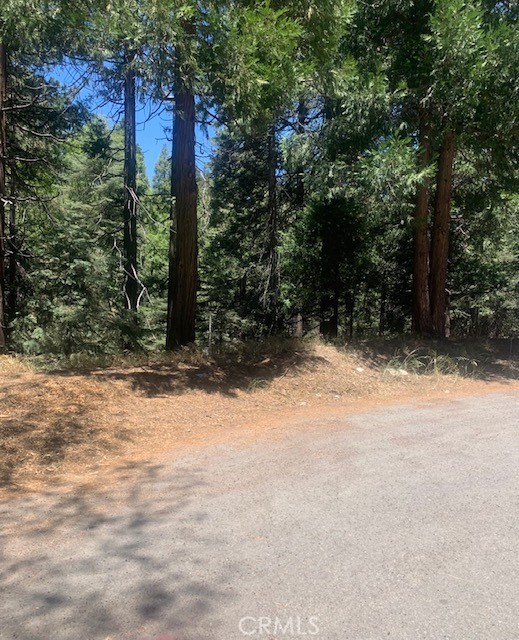 0 State Hwy 189, Lake Arrowhead, California 92352, ,Land,For Sale,0 State Hwy 189,CREV21124040