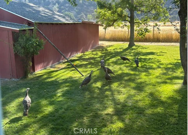 4436 Pharo Place, Kelseyville CA: https://media.crmls.org/medias/fc6bc9fd-ca09-48d4-9b38-630a8811811c.jpg