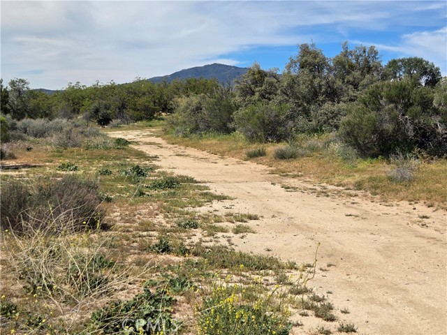 Detail Gallery Image 7 of 7 For 5 Fletcher, Anza,  CA 92539 - – Beds | – Baths
