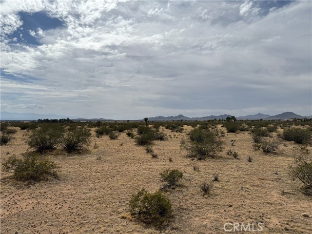 Detail Gallery Image 1 of 32 For 0 Japatul Rd, Apple Valley,  CA 92307 - – Beds | – Baths