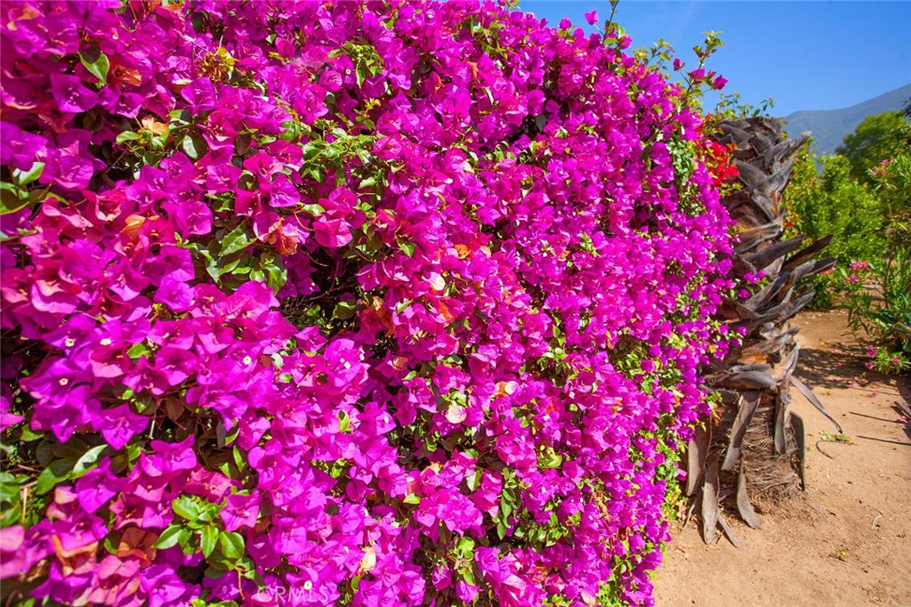 https://media.crmls.org/medias/fc704f6c-fd1b-4a9d-9d66-7d0ec09dc1de.jpg?preset=X-Large