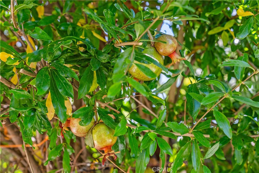 Fc7288af 2107 4e9d Bcee C5b0080c366f