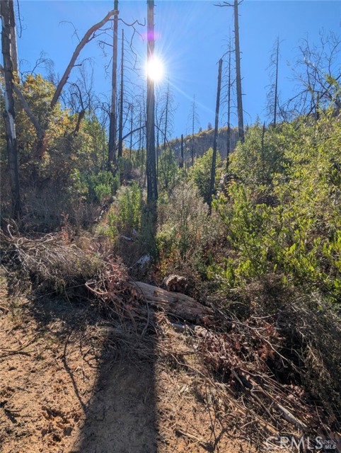 Detail Gallery Image 34 of 38 For 1833 Hunter Point Rd, Upper Lake,  CA 95485 - – Beds | – Baths