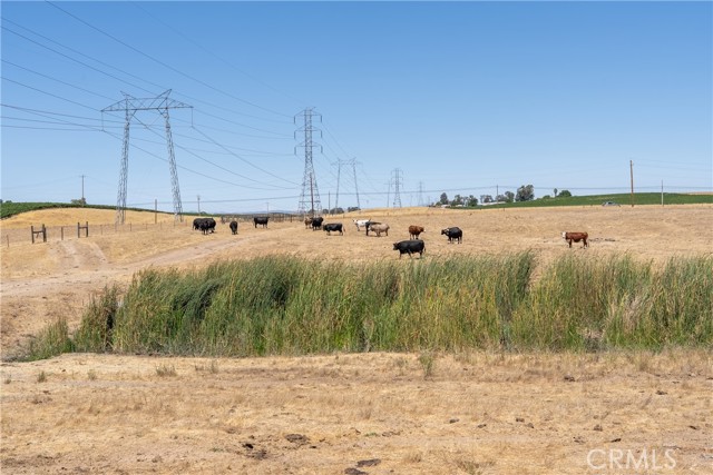 Detail Gallery Image 12 of 25 For 0 Creston Rd, Paso Robles,  CA 93446 - – Beds | – Baths