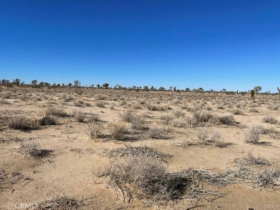 MLS #HD25000657 image #23