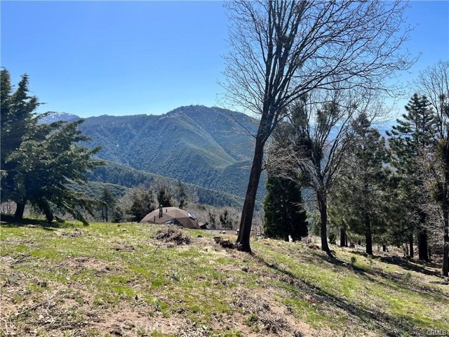 41 Fredalba Road, Running Springs CA: https://media.crmls.org/medias/fc7ef2dd-4d2c-47a5-bc6a-a1efb7071406.jpg