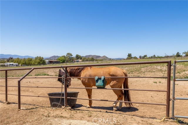 Detail Gallery Image 52 of 63 For 9259 Sierra Hwy, Agua Dulce,  CA 91390 - 4 Beds | 4 Baths