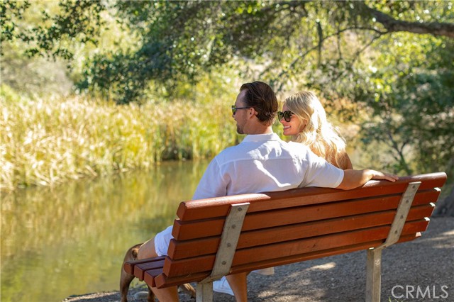 San Luis Creek, local bench.