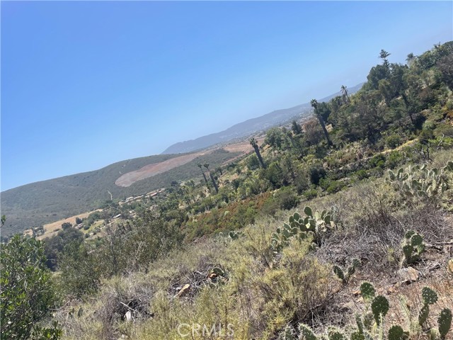 1624 Siddall Drive, Vista CA: https://media.crmls.org/medias/fc899bf8-e3e4-410b-9de9-c3e3bc2f87e2.jpg