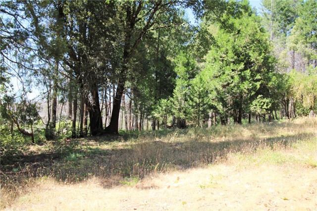 Detail Gallery Image 40 of 43 For 268 Milsap Bar Rd, Berry Creek,  CA 95916 - 3 Beds | 1 Baths