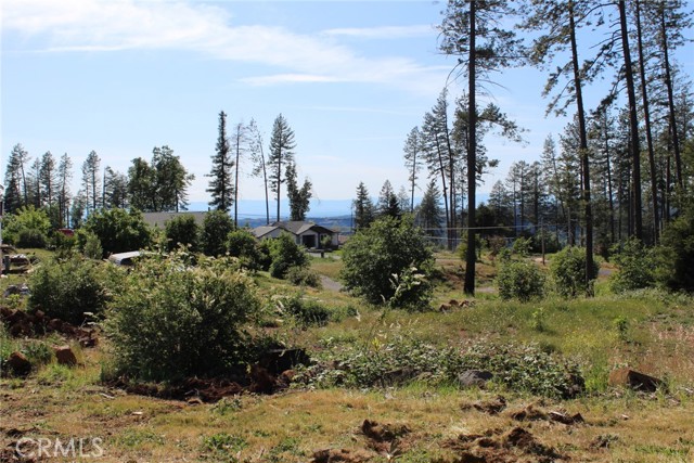 Front Image Thumbnail for CRPA26231617