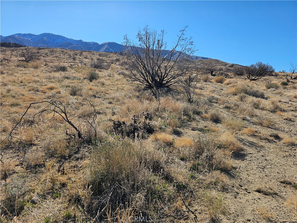 MLS #SR25266658 image #2