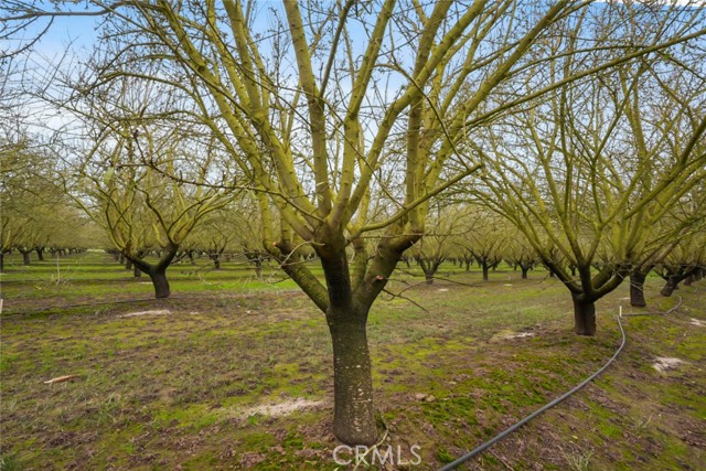 Detail Gallery Image 37 of 47 For 16221 Carrolton, Escalon,  CA 95320 - – Beds | – Baths