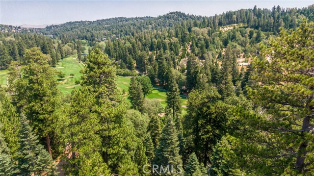 Detail Gallery Image 6 of 29 For 260 S Fairway Dr, Twin Peaks,  CA 92391 - 4 Beds | 3 Baths