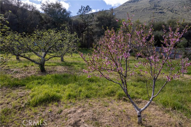 8993 Soda Bay Road, Kelseyville CA: https://media.crmls.org/medias/fc97bf3f-91e8-4a07-afb5-f8b7e4092813.jpg